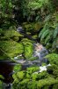 Karamea_Root-Beer-River.jpg