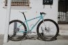 Igleheart-singlespeed-mountain-bike.jpg