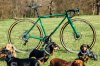 mercredi-bikes-sausage-dog-1.jpg