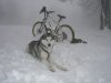 snowride3.JPG