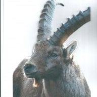 IBEX73