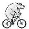 Bikebear