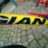 Gianti Maxi