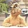 alf2