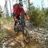 feldbergbiker