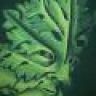 Greenman