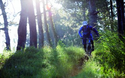 ION-TeeLS-FullzipCrest_BikeshortVertex_RobJ_bySebastianDoerk_2
