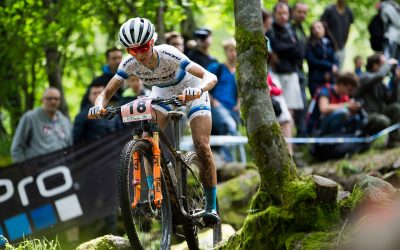 2013916-og2l4a6oqs3a-labresse2016_20160529115058-original
