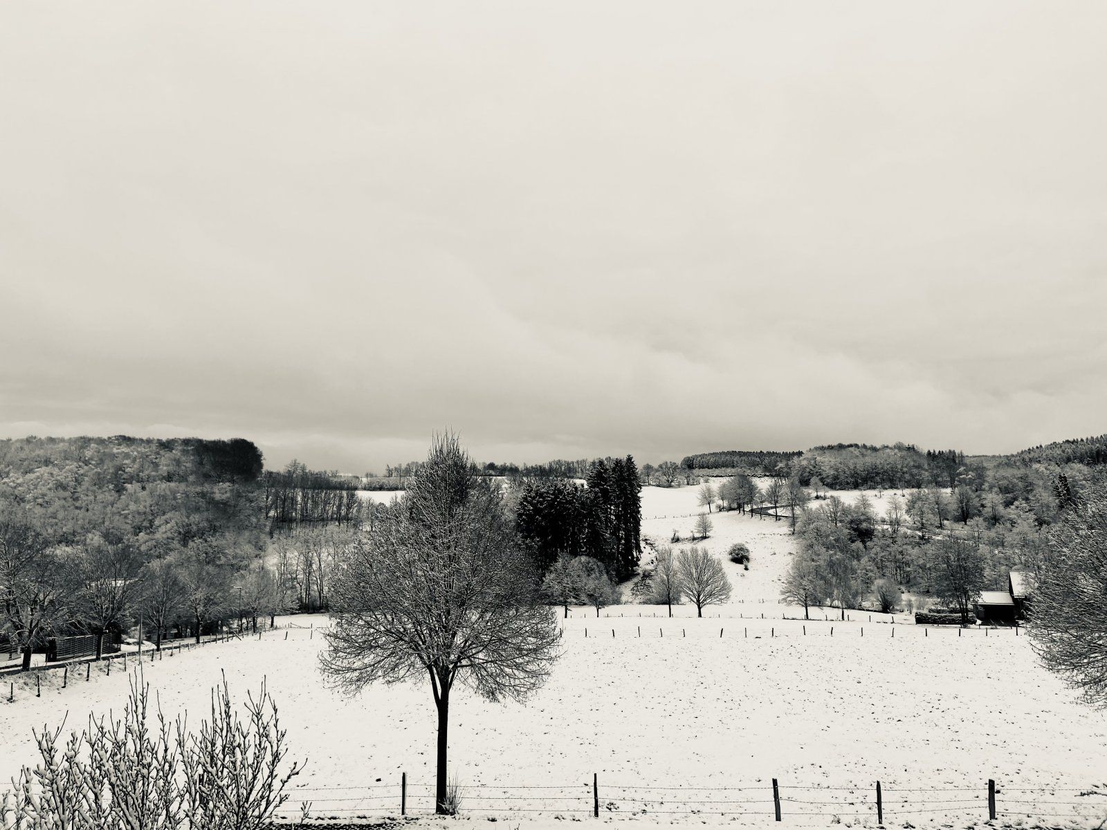 0066A616-B8C3-4F32-9D30-69A0A9B36520.jpeg