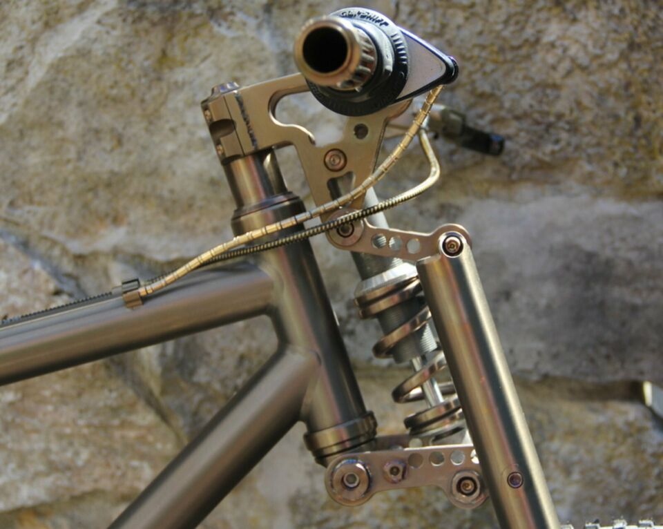 02_merlin (2).JPG