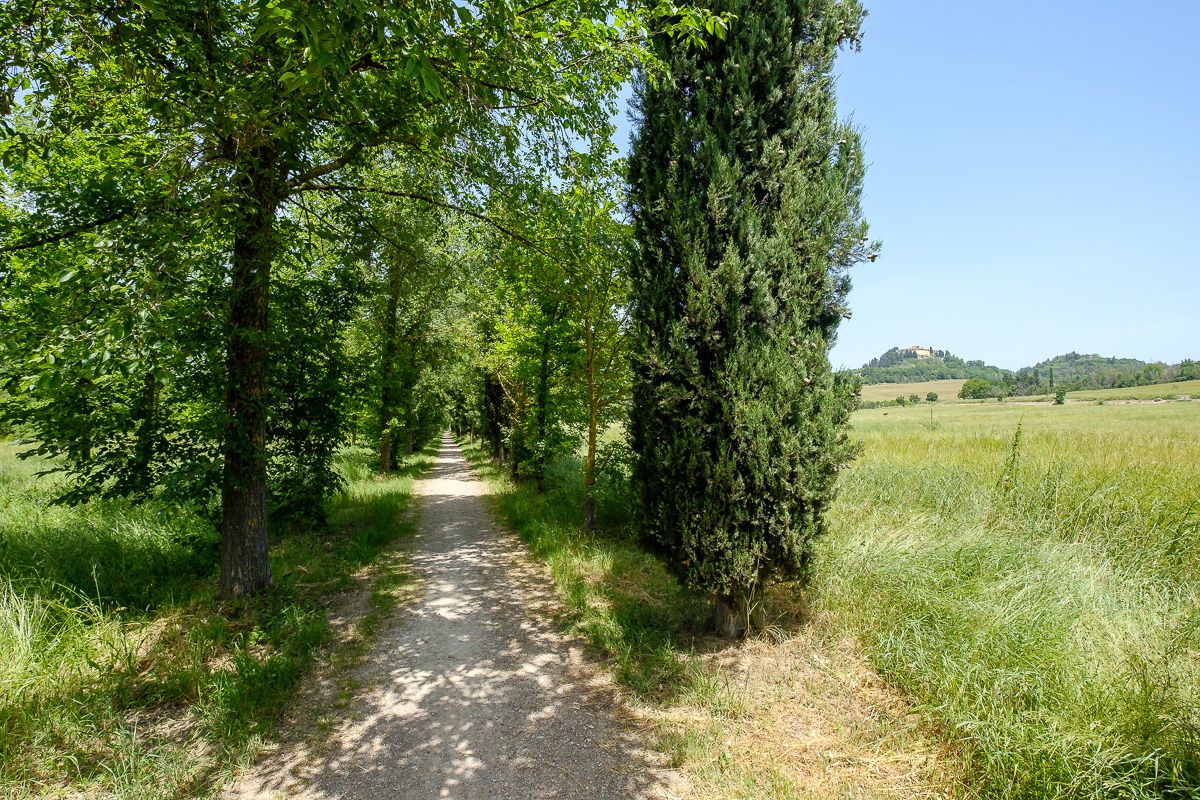 042 - Toskana 2019.jpg