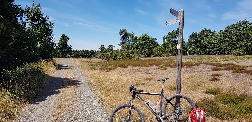 05 Blumenrather Heide.jpg