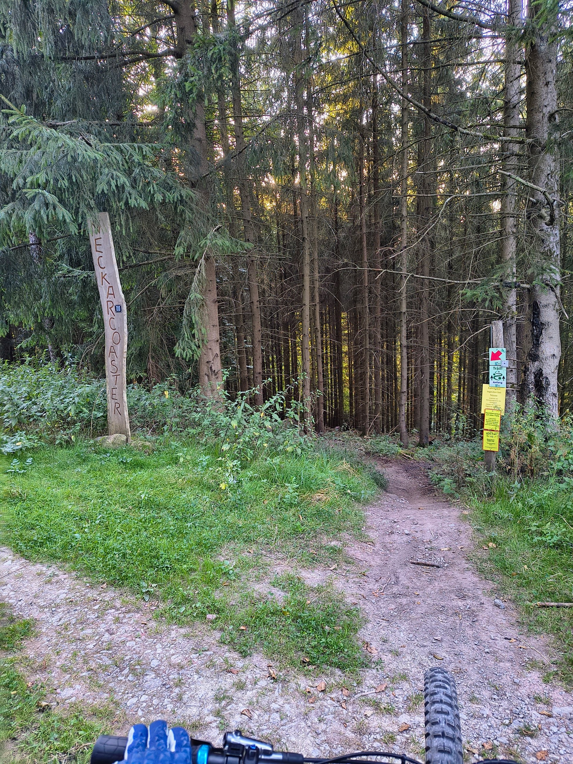 05.jpg