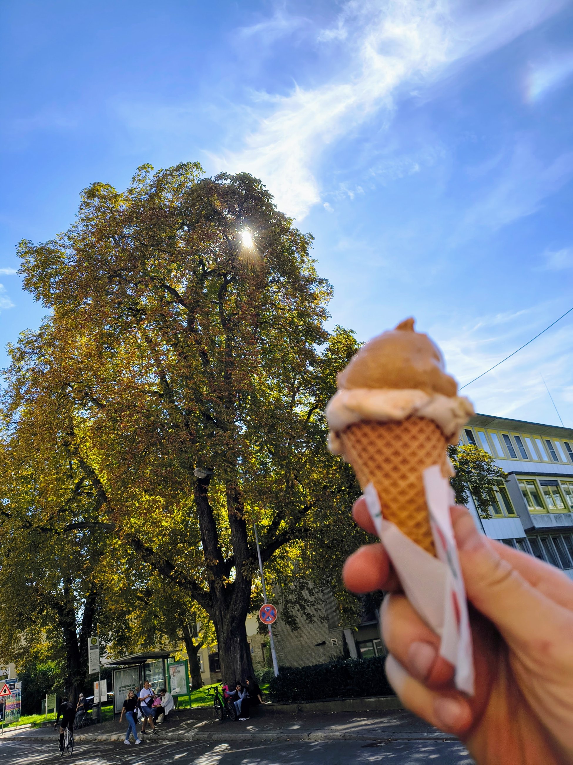 06.jpg