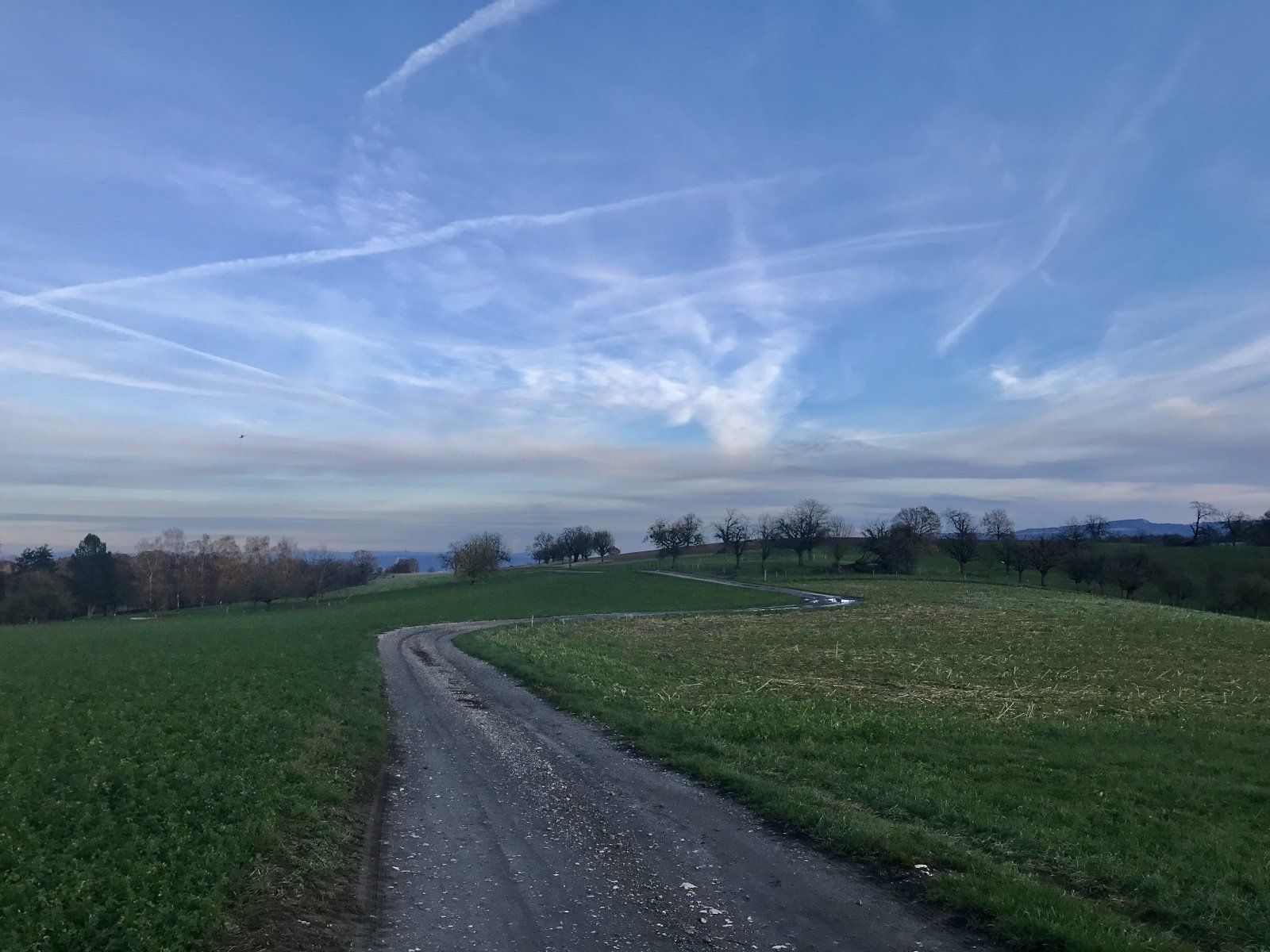 0712590C-EC99-4F8C-8265-D31B5171F69F.jpeg
