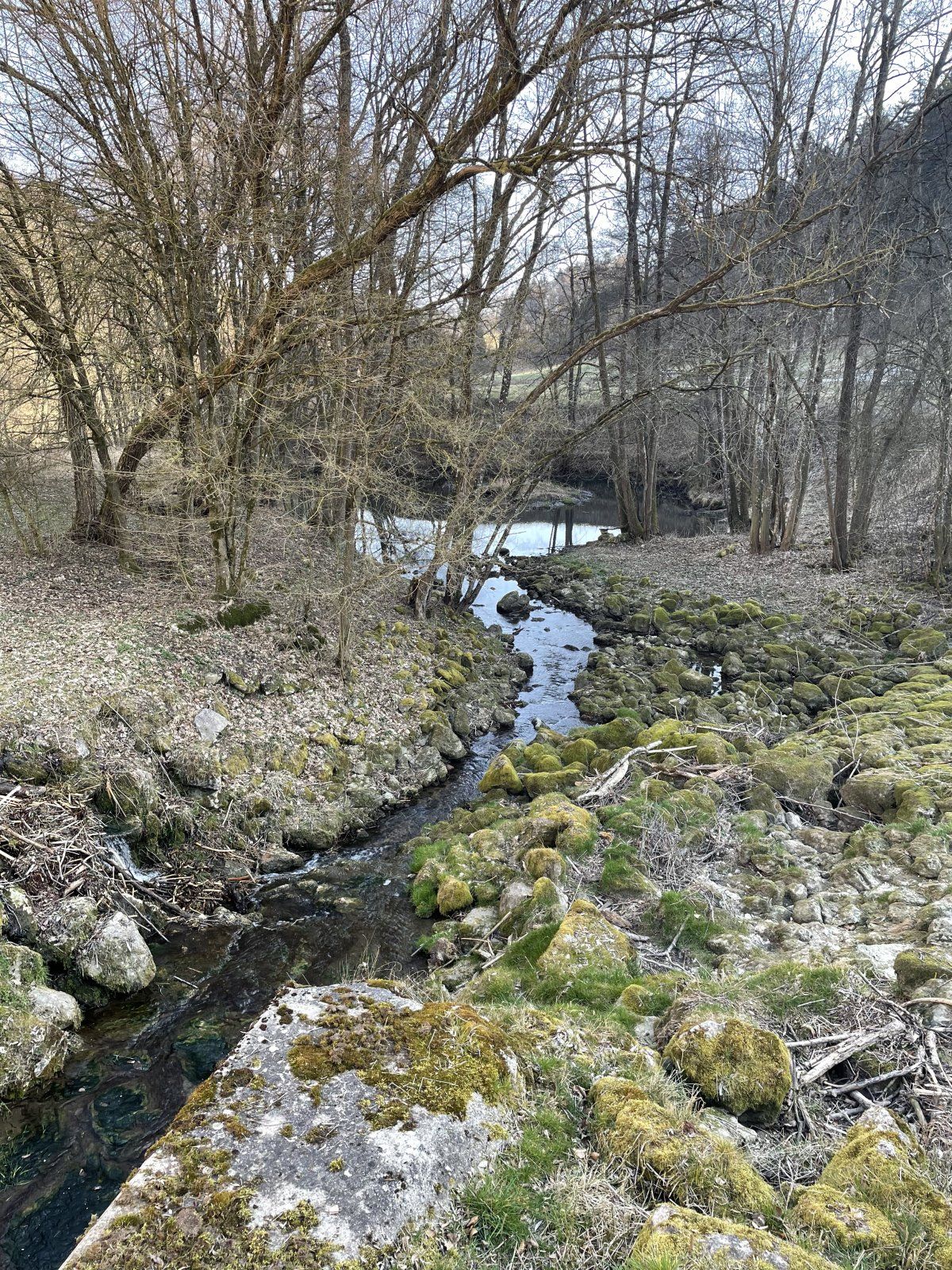 0F8ECE0D-1398-453A-A4B6-72D835E7C2F2.jpeg