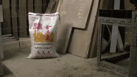 1000007248.gif