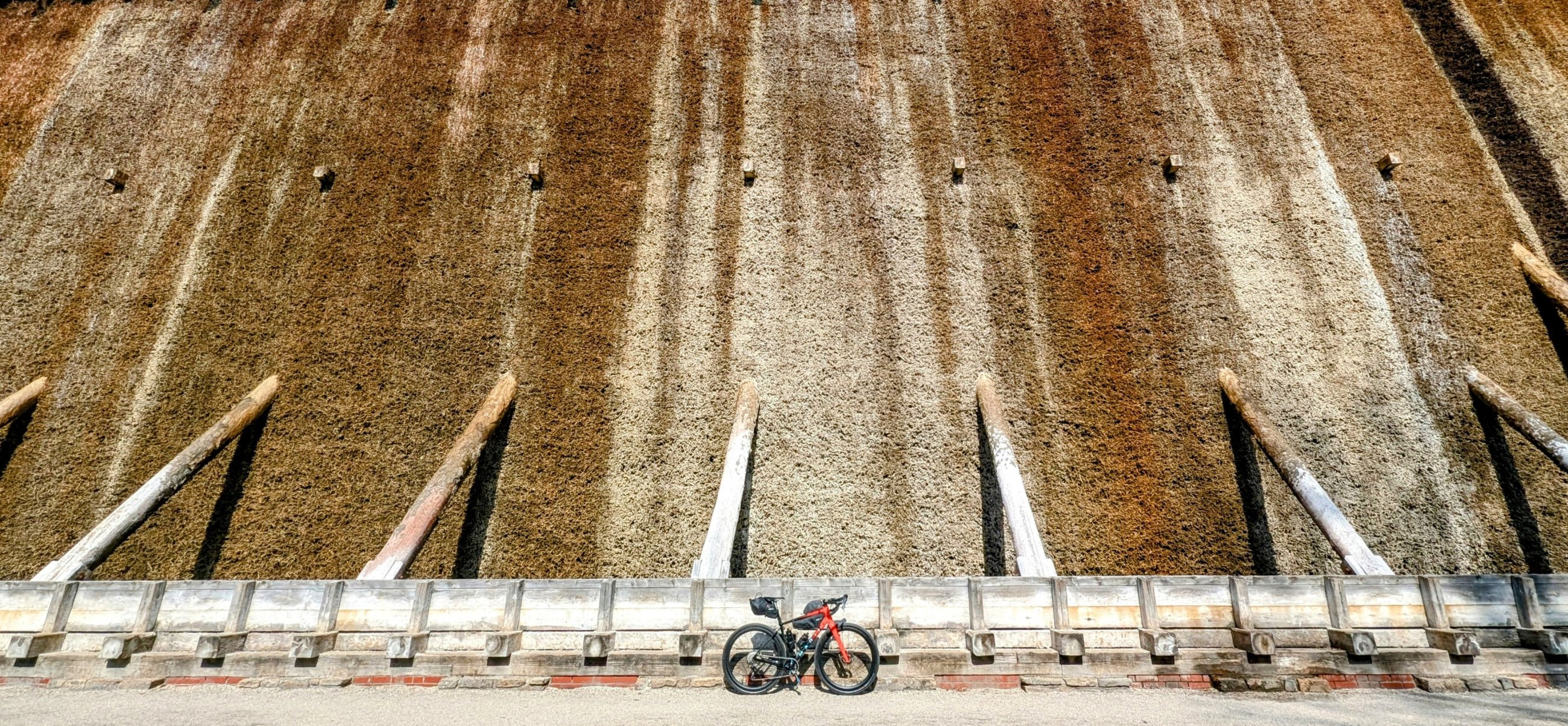 1000043690.jpg