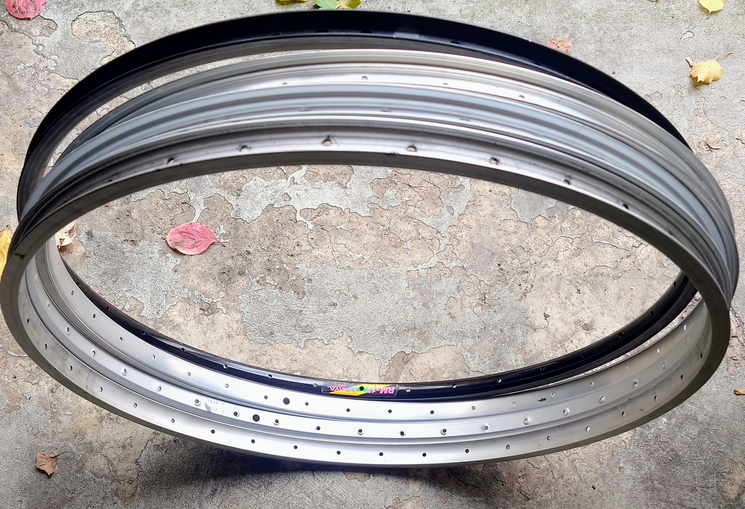 1000048298.jpg 1000048298.jpg