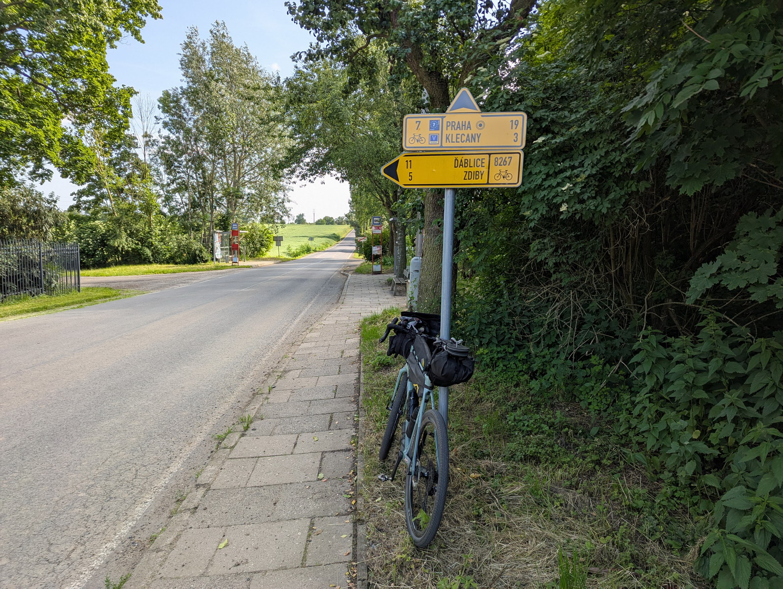 11.jpg