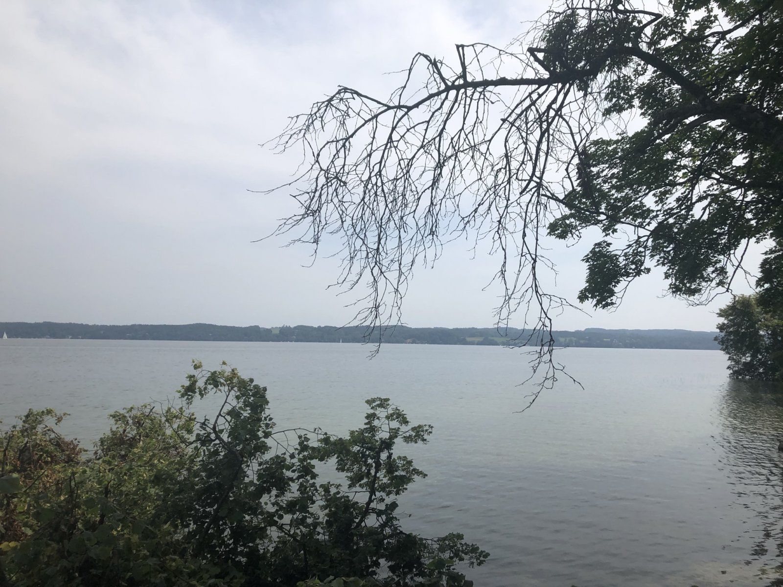 14D59308-2AEA-42AE-8CF0-D11DF11E3DDD.jpeg
