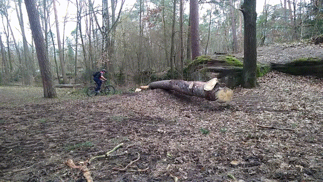 1584032508610.gif