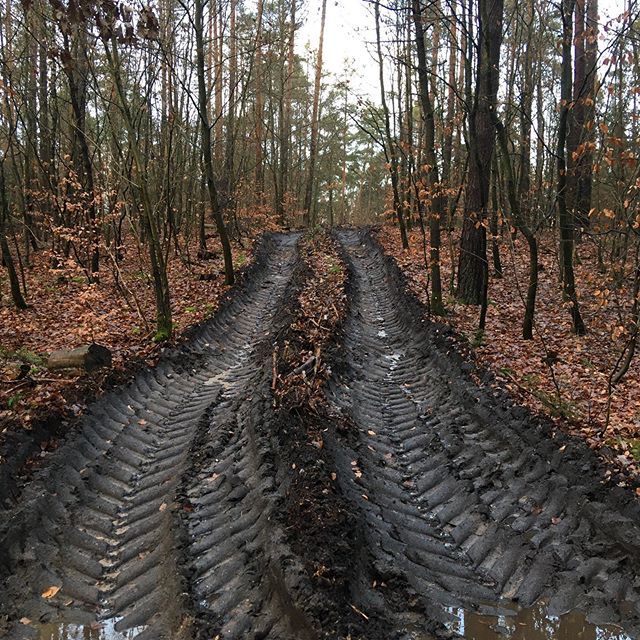 1600px-Harvester_tracks_II.jpg