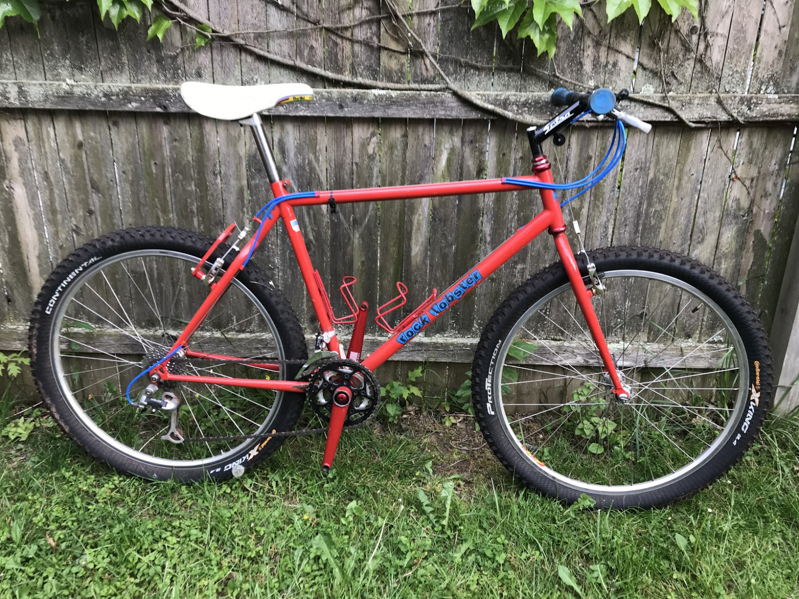 1617613296086.png 1617613296086.png