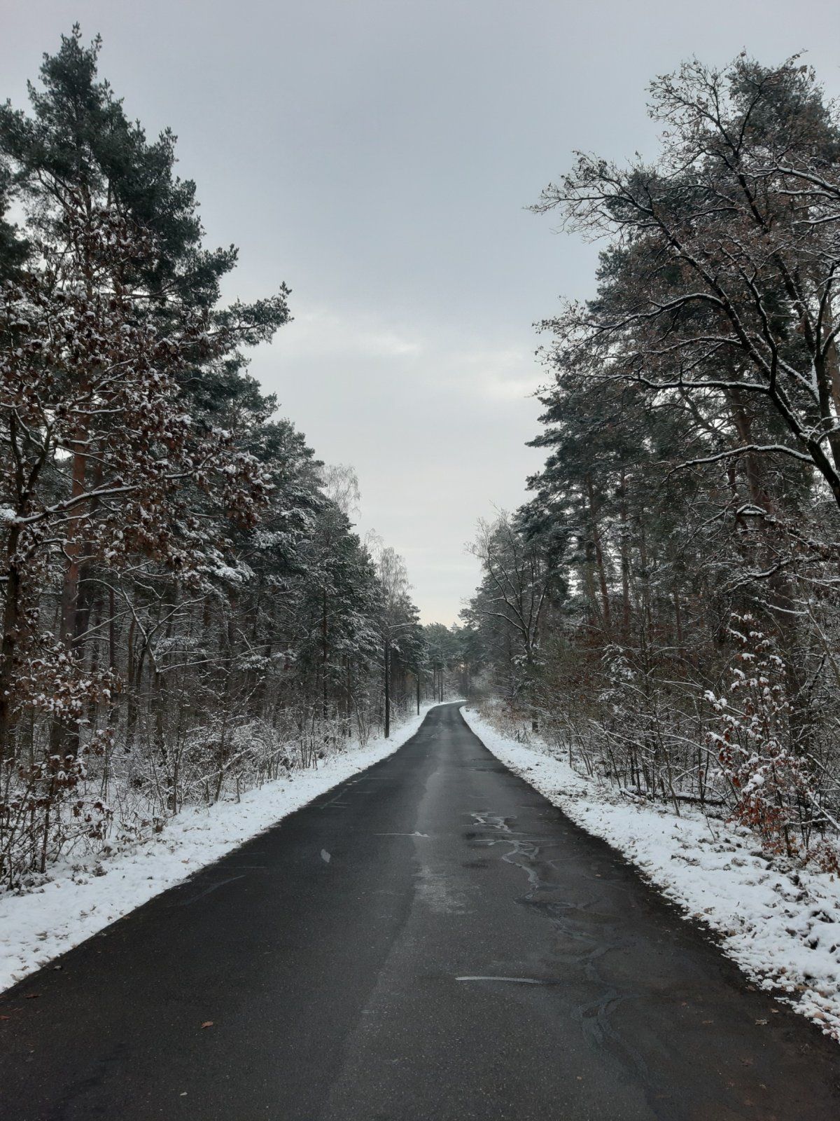 1701675082944.jpg