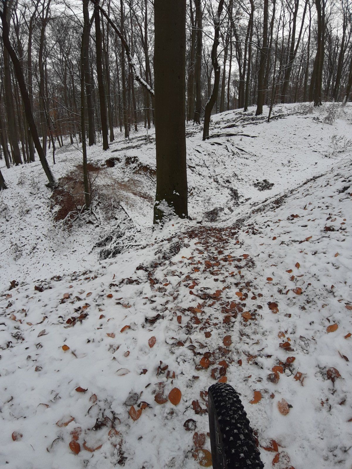 1701684642778.jpg