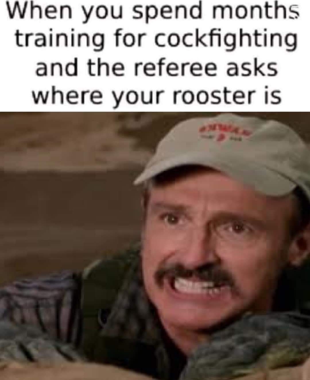 1705923157000.png