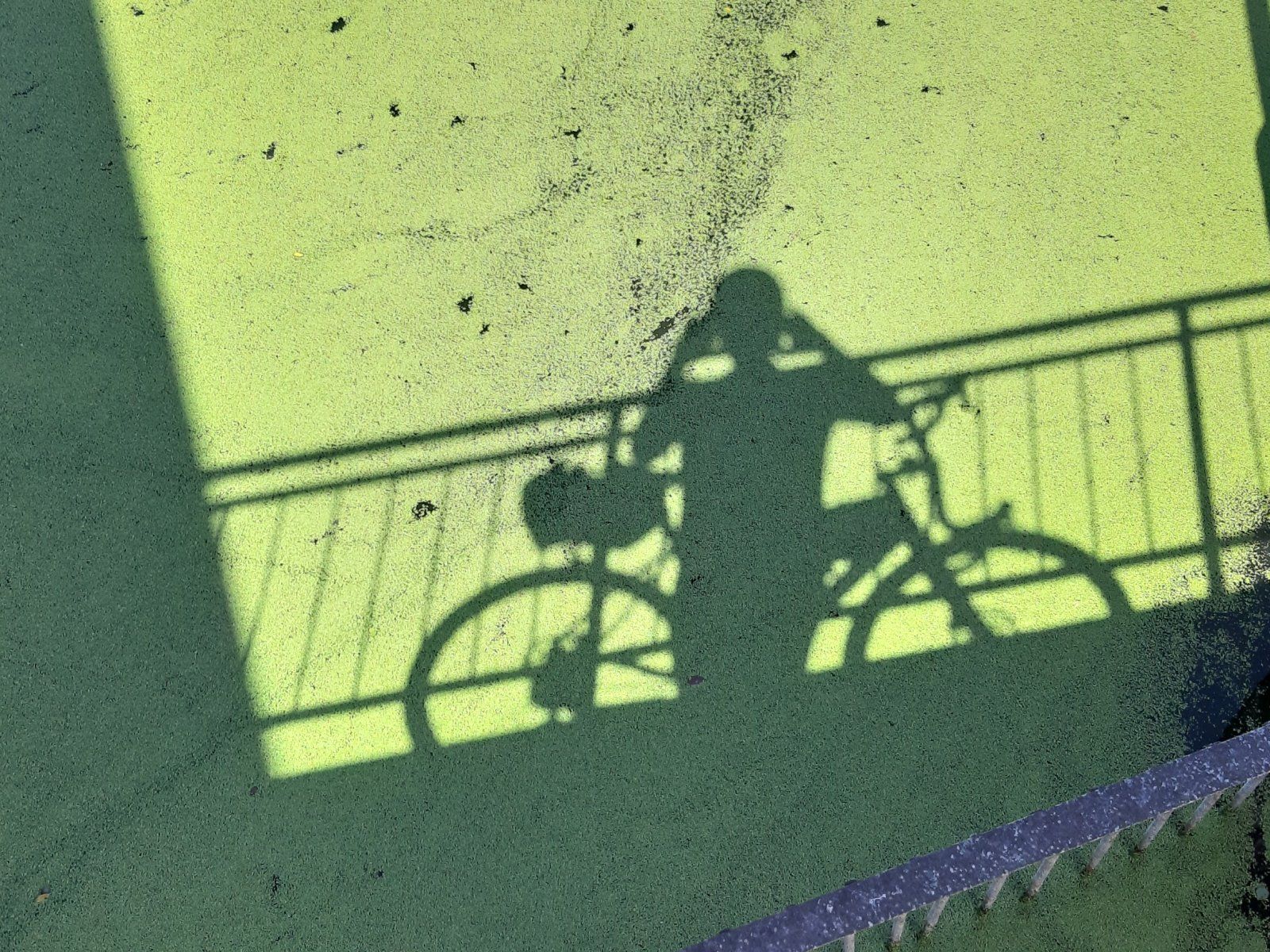 1720257322600.jpg