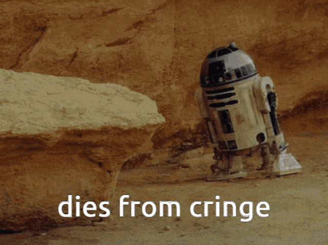 1735404498338.gif