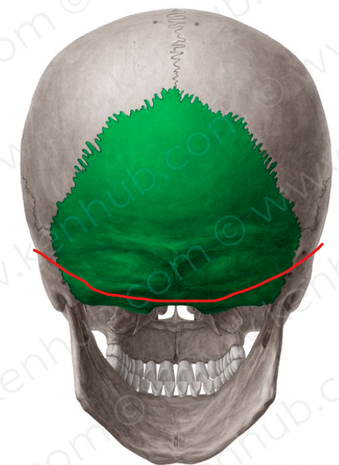1758267574114.png
