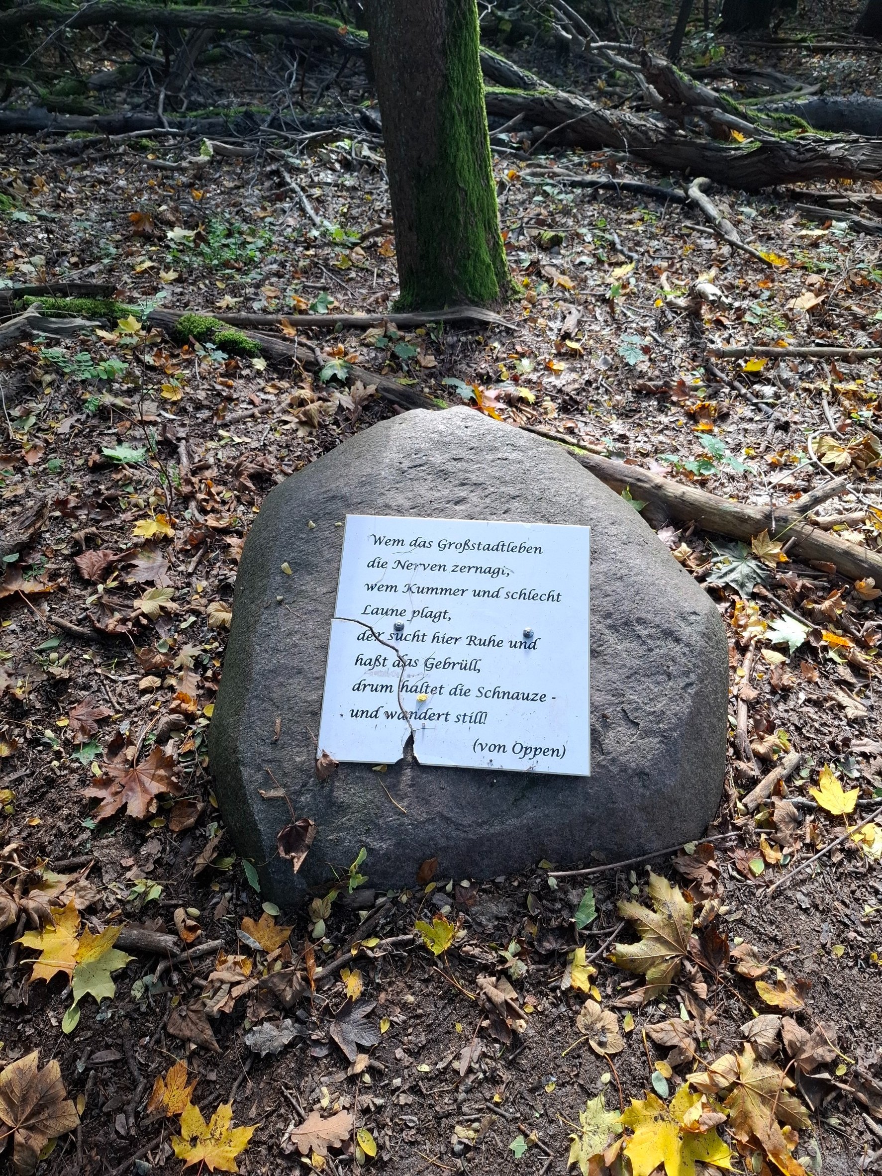 1760789376141.jpg