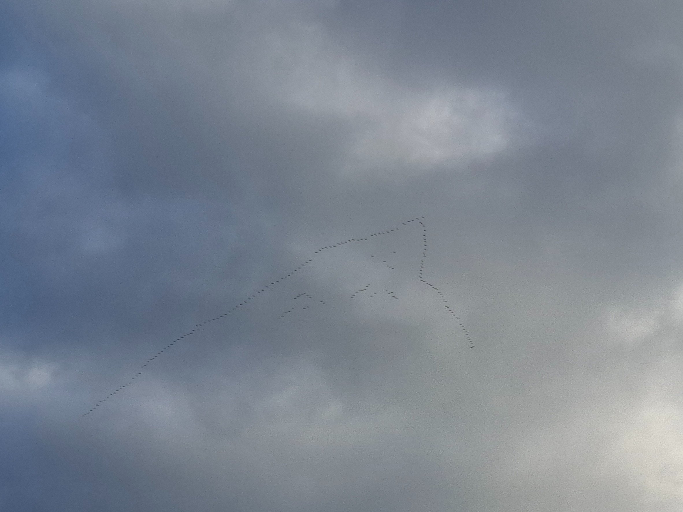 1760796383505.jpg