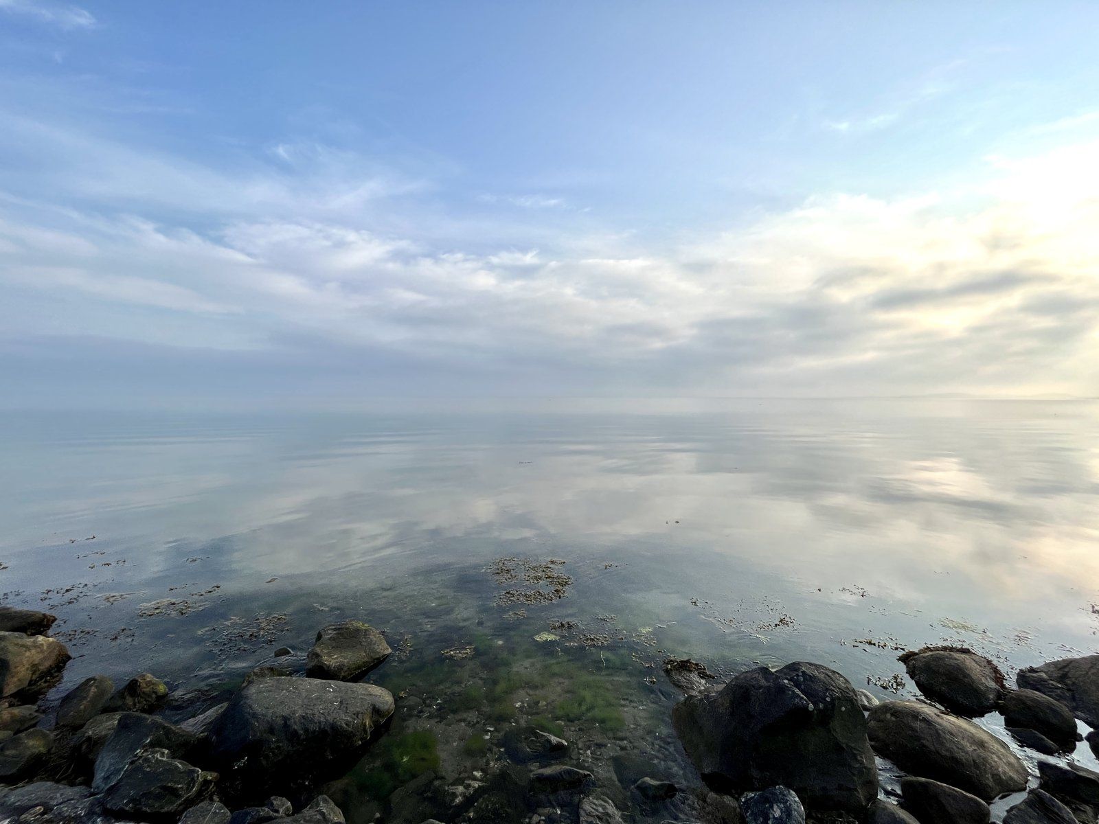 178FE255-AA97-453B-9BDC-8E51D57081DF.jpeg