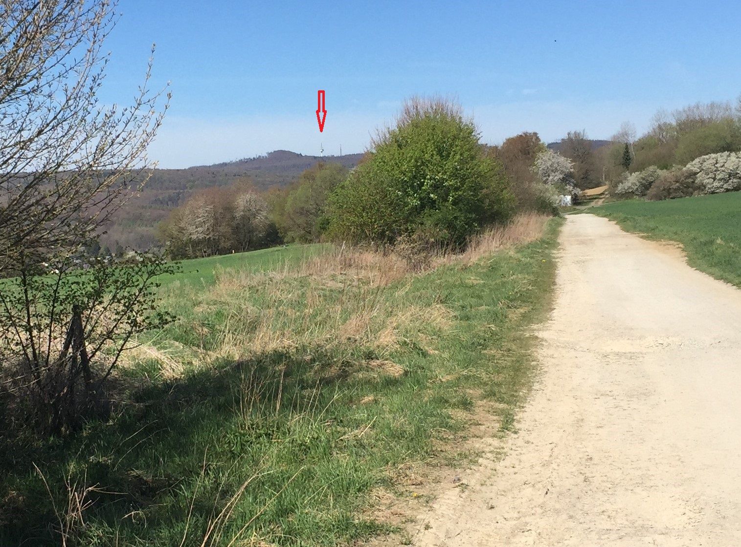 18042022 Alpe D.JPG