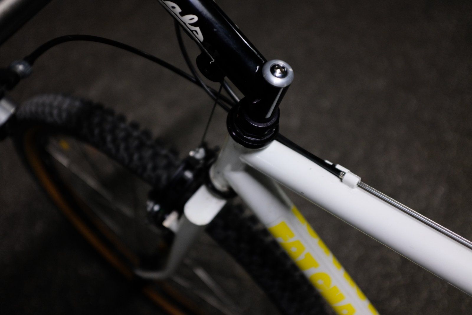 1989-FatCityCycles-TeamComp-v2done-nightshot-DSCF6281 Kopie.JPG