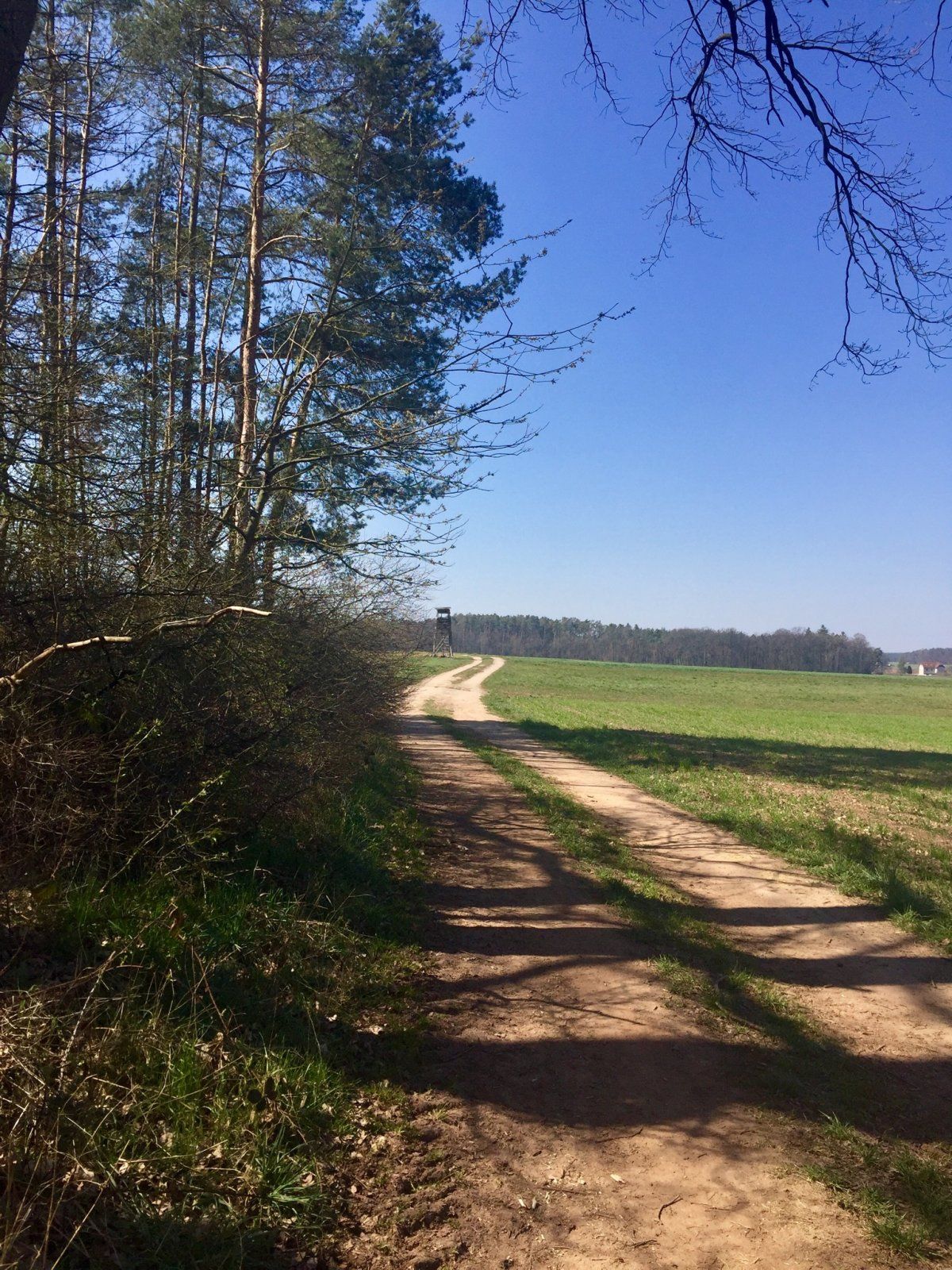 19A084E7-C08C-4014-89EE-634534160D56.jpeg