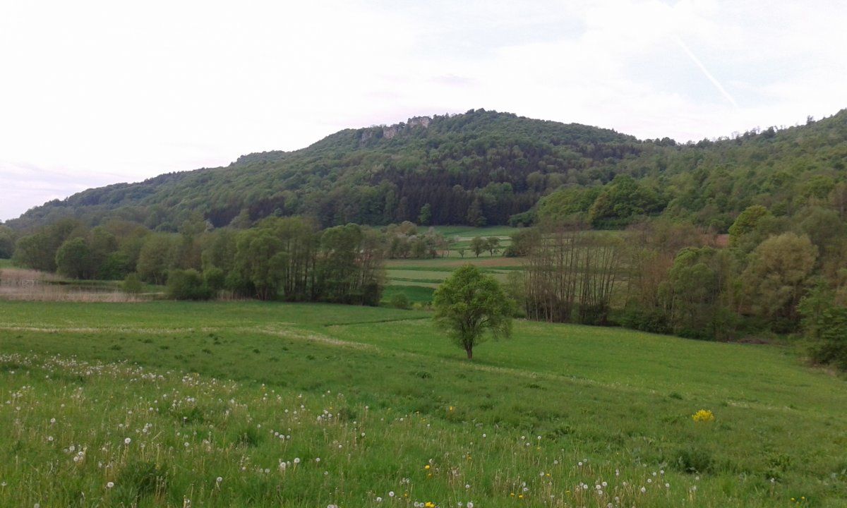 20150509_090001.jpg