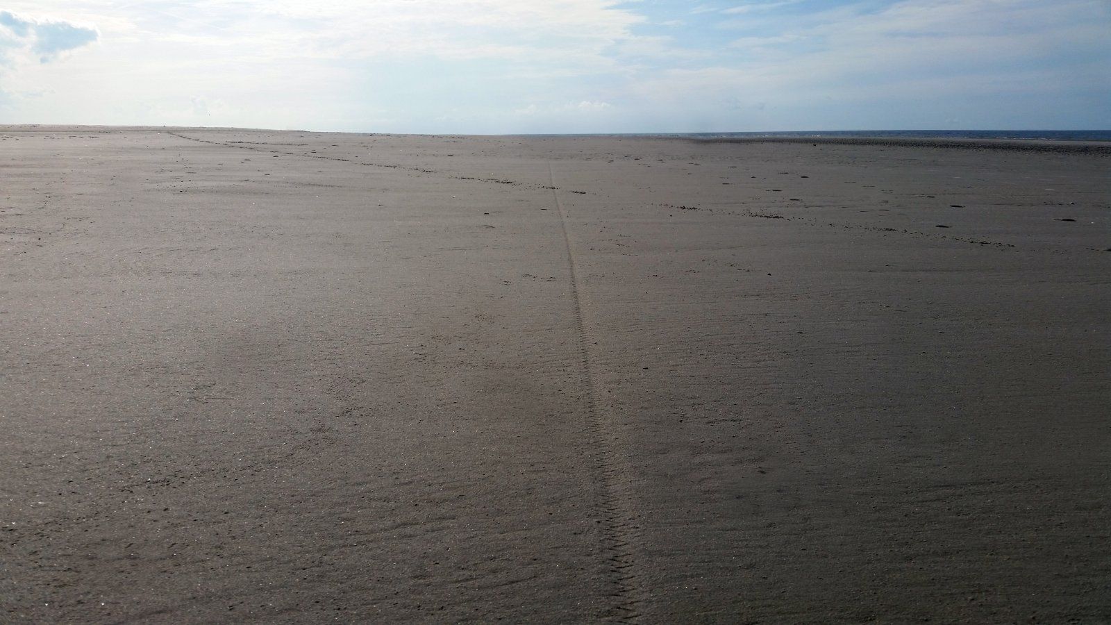 20150829_163950-original.jpg