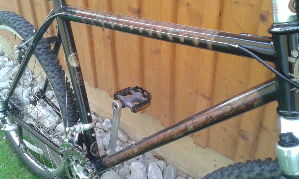 grateful dead bike