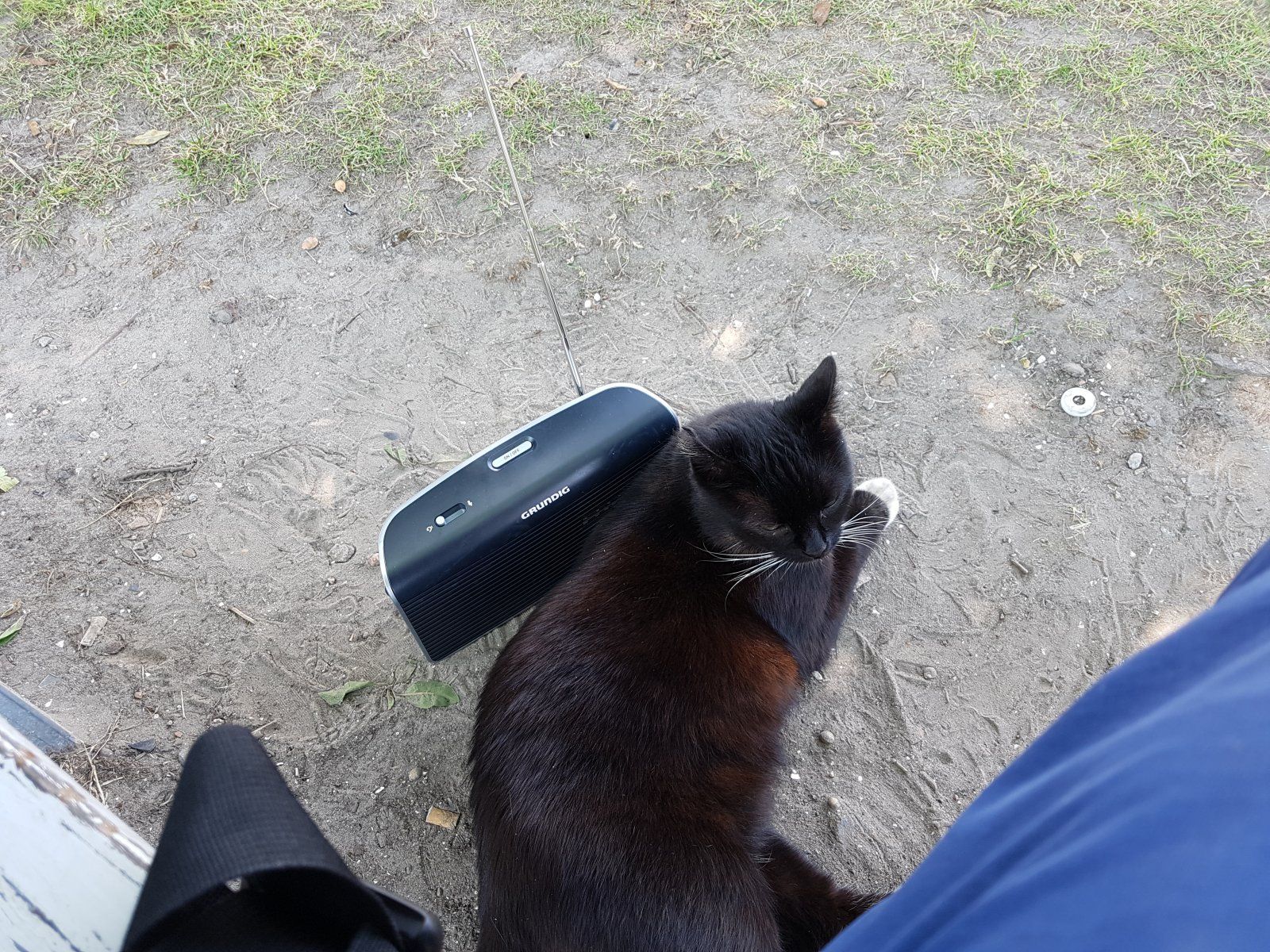 20180722_125041.jpg