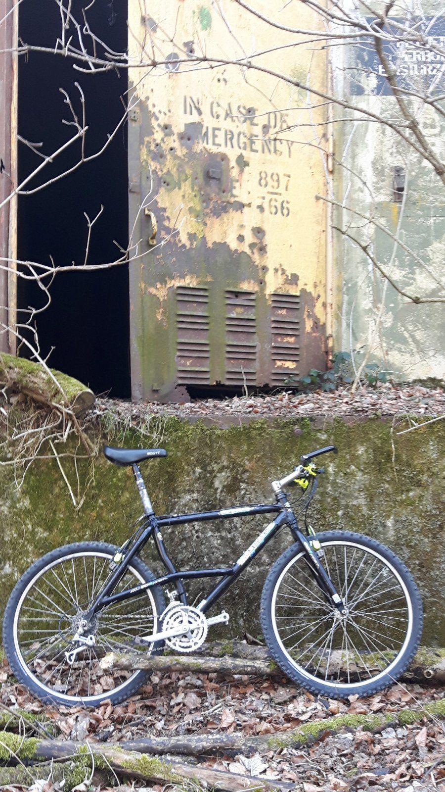 20190225_125533.jpg