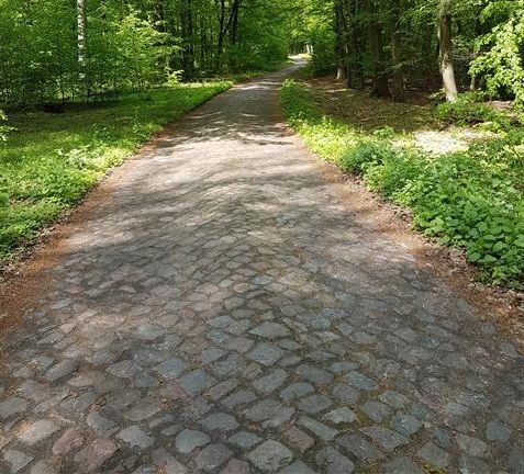 20190508_134106.jpg