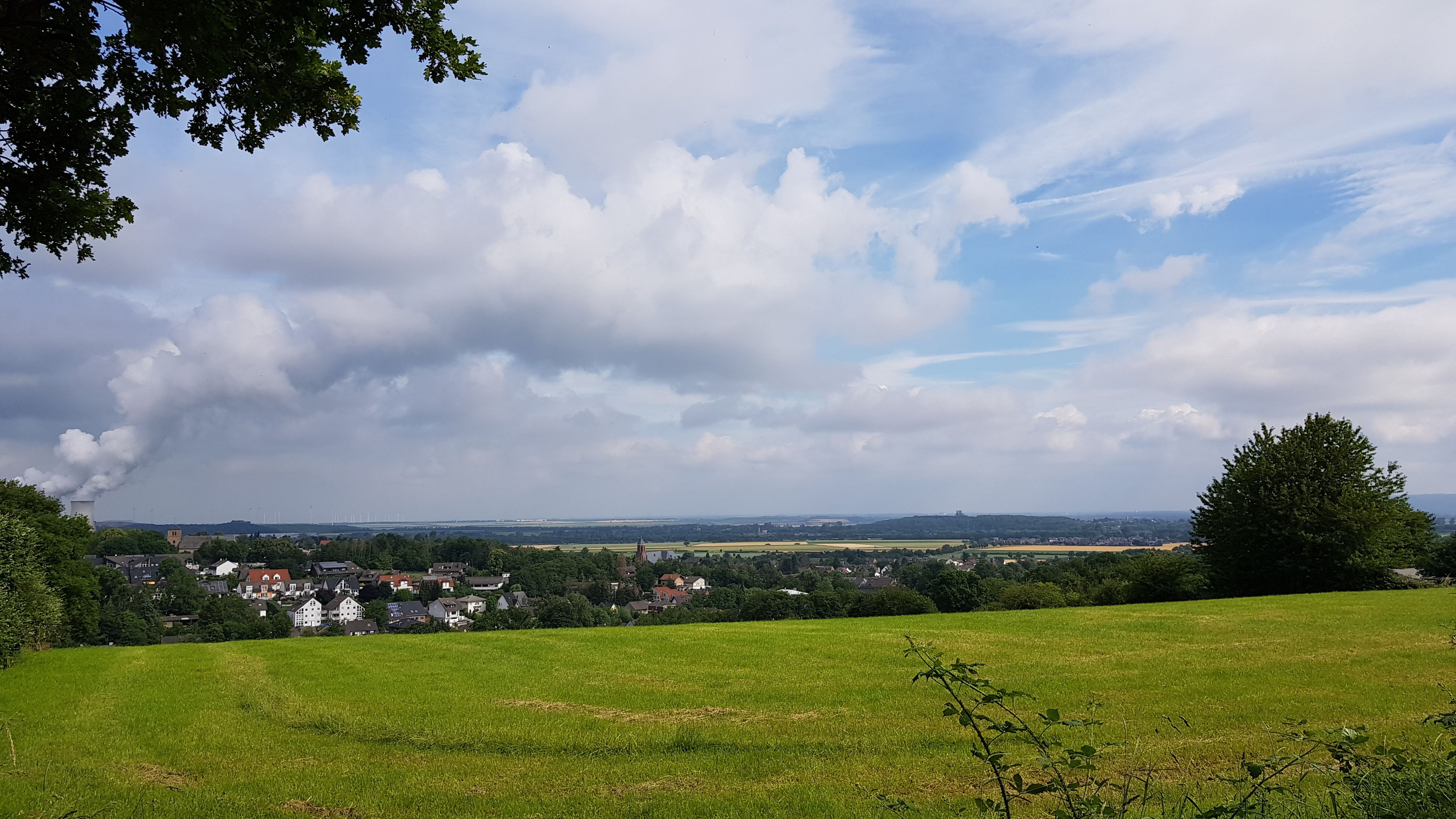 20190620_095833.jpg