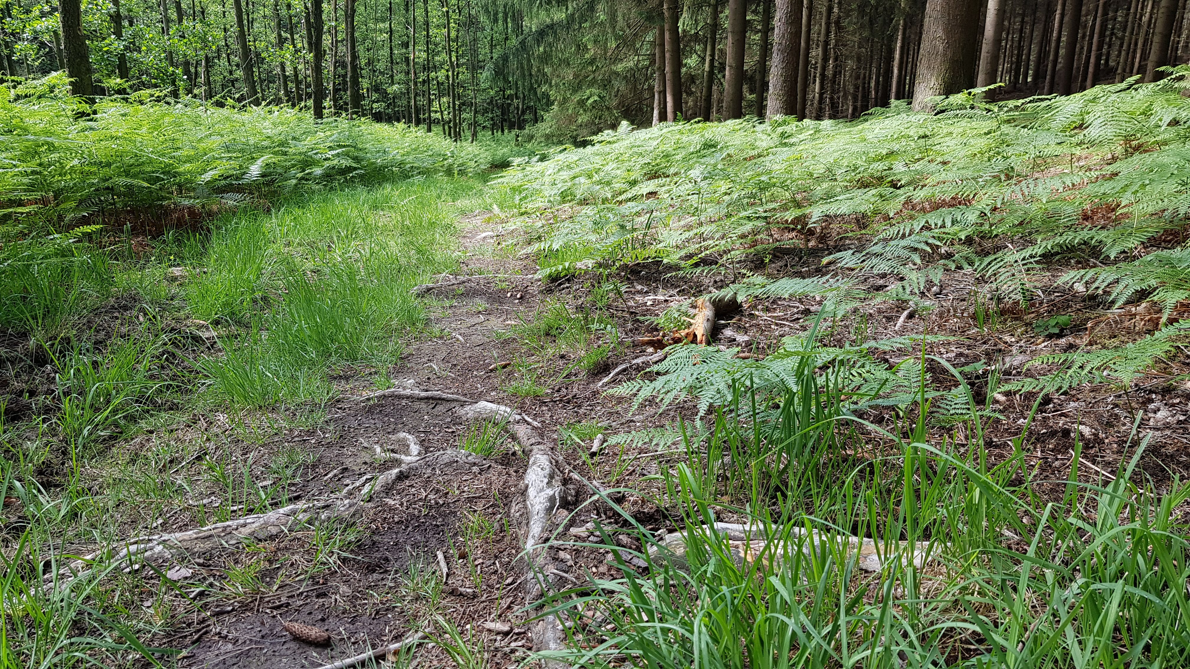 20190620_102538.jpg