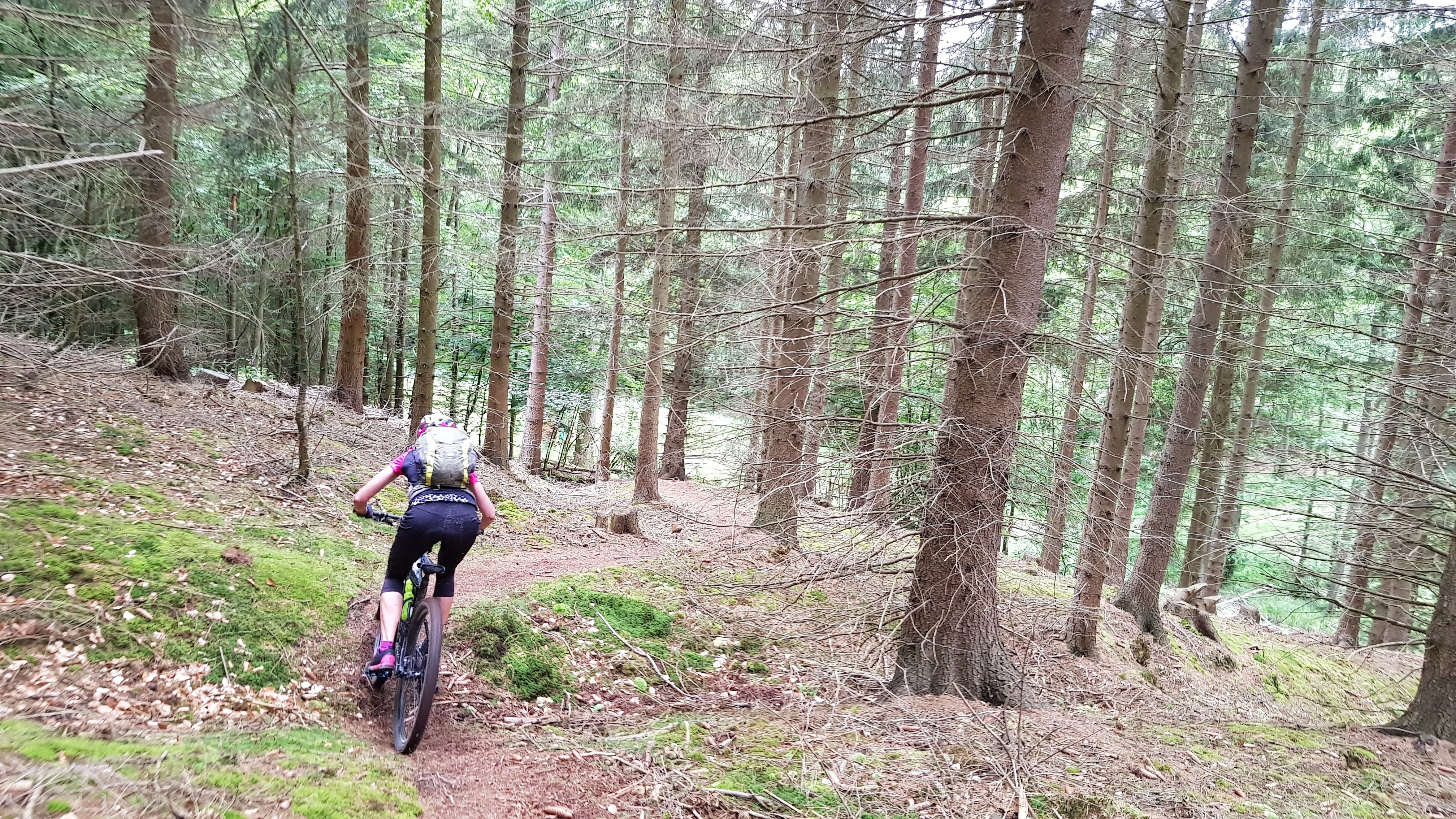20190620_130208.jpg