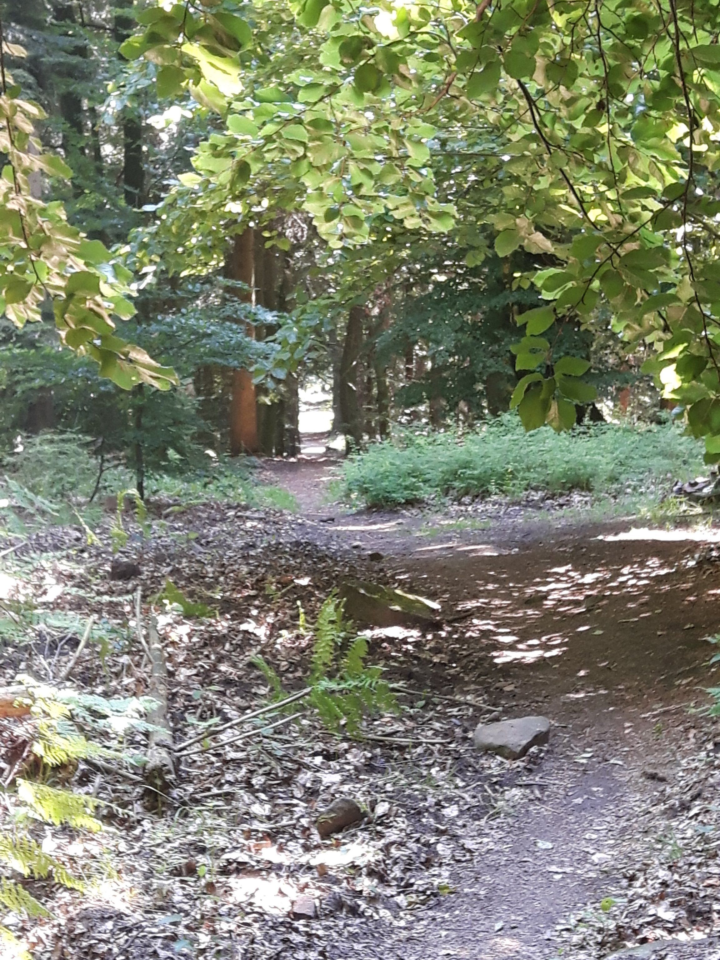 20190623_150748.jpg